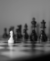 AI Roadmaps